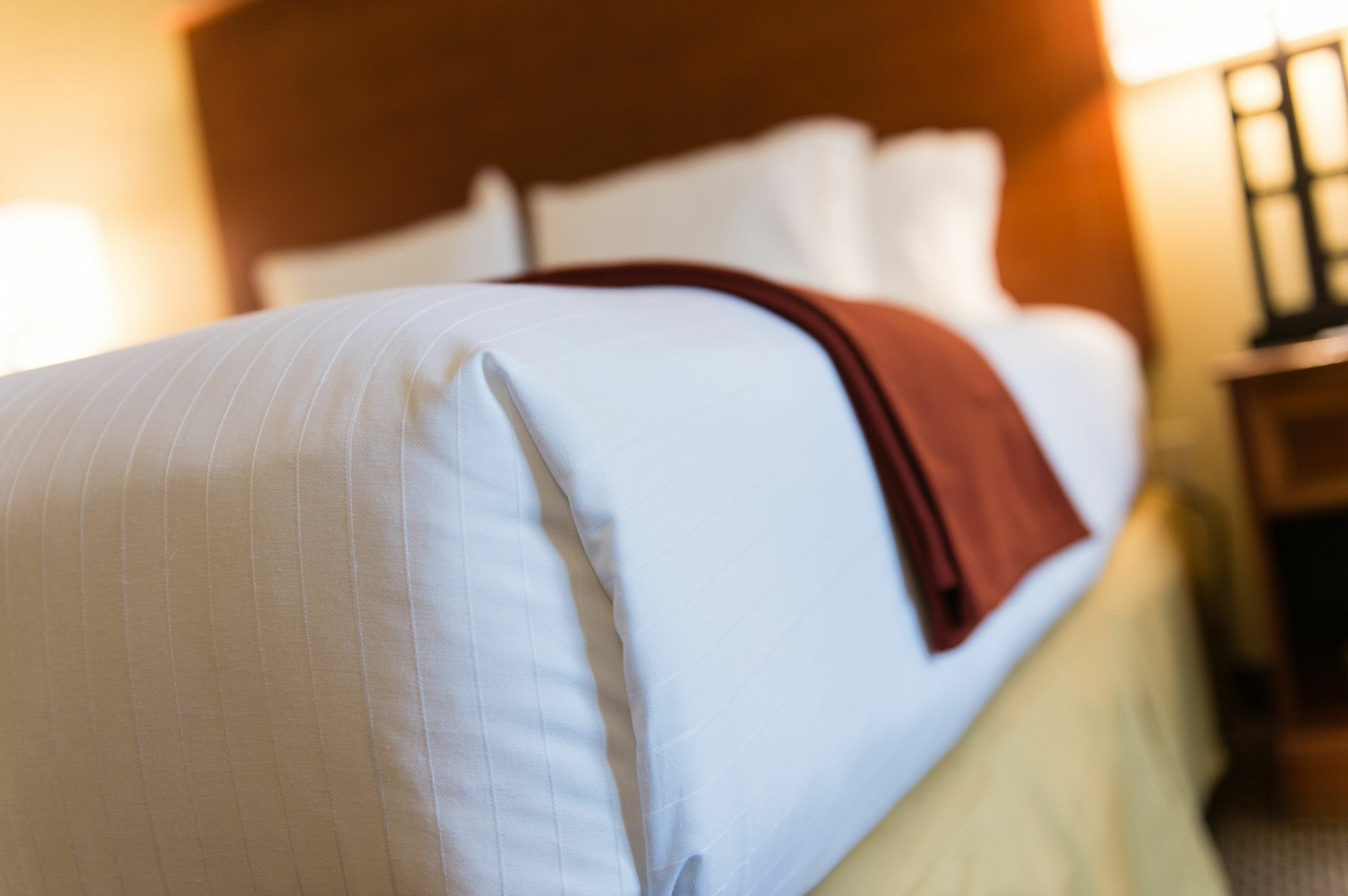 Holiday Inn Express & Suites Columbia-I-26 @ Harbison Blvd By Ihg Eksteriør bilde